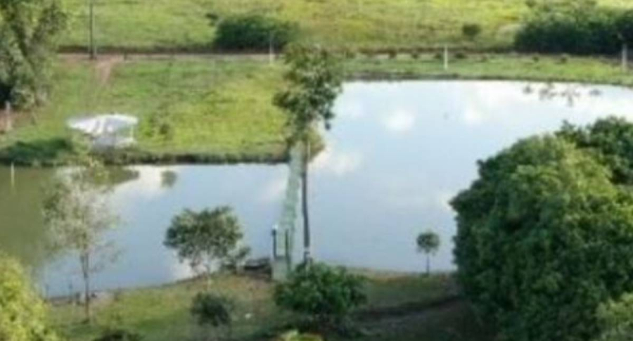 Servidor do Idaron Morre Afogado em Represa Durante Comemoração Familiar em Alvorada do Oeste